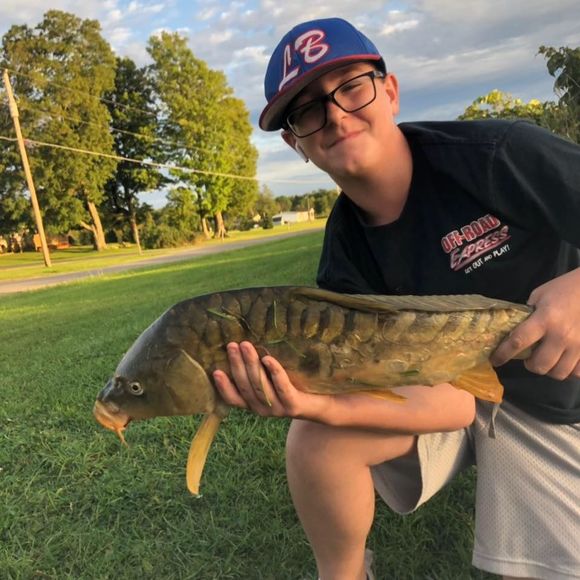 Meet your Posher, Jacob - Picture 1 of 1